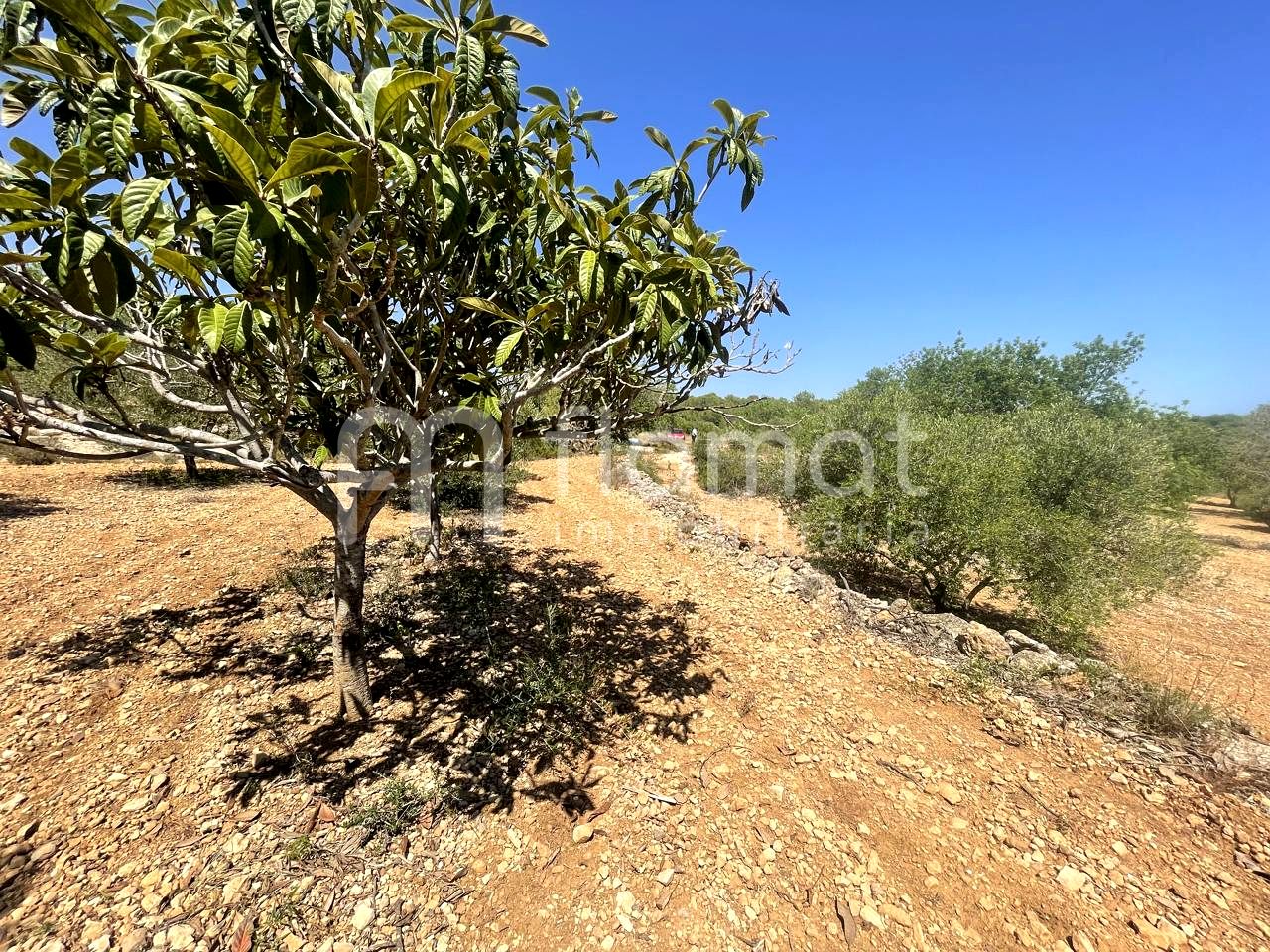 terrenos en la-pobla-de-montornes · t-211-43761 14999€