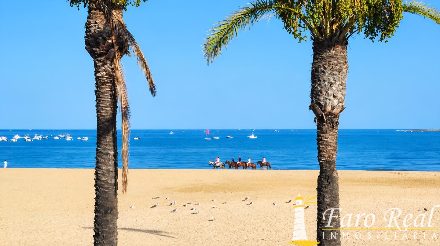 Apartamento en 1º linea de playa con vistas al mar. 5
