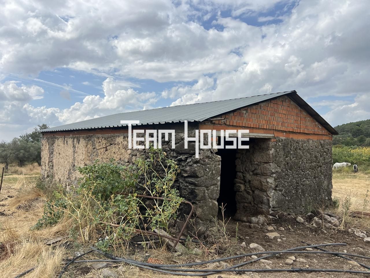 Terreno en AV-924, 05480 Candeleda, Ávila, Candeleda, Ávila de 50000 m2