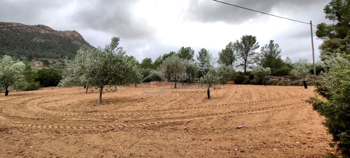 Terreno en Partida Macaroves, Relleu, Alicante de 10604 m2