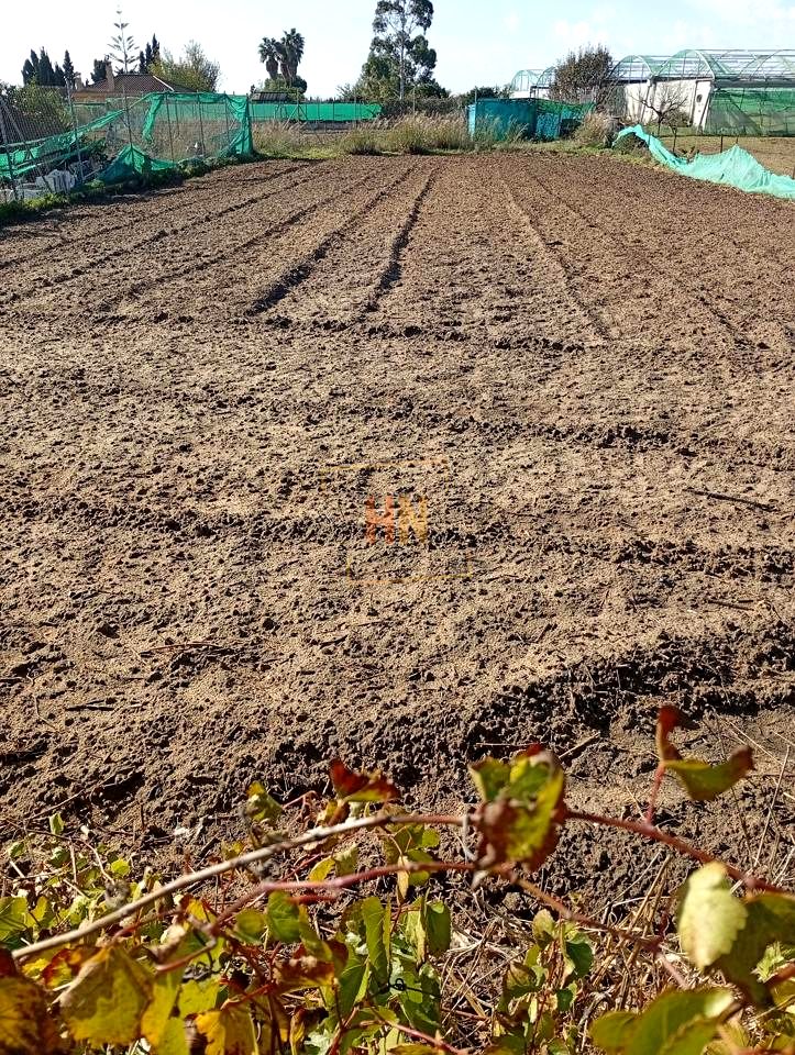 Terreno en Ctra Chipiona, chipiona, Cádiz de 800 m2