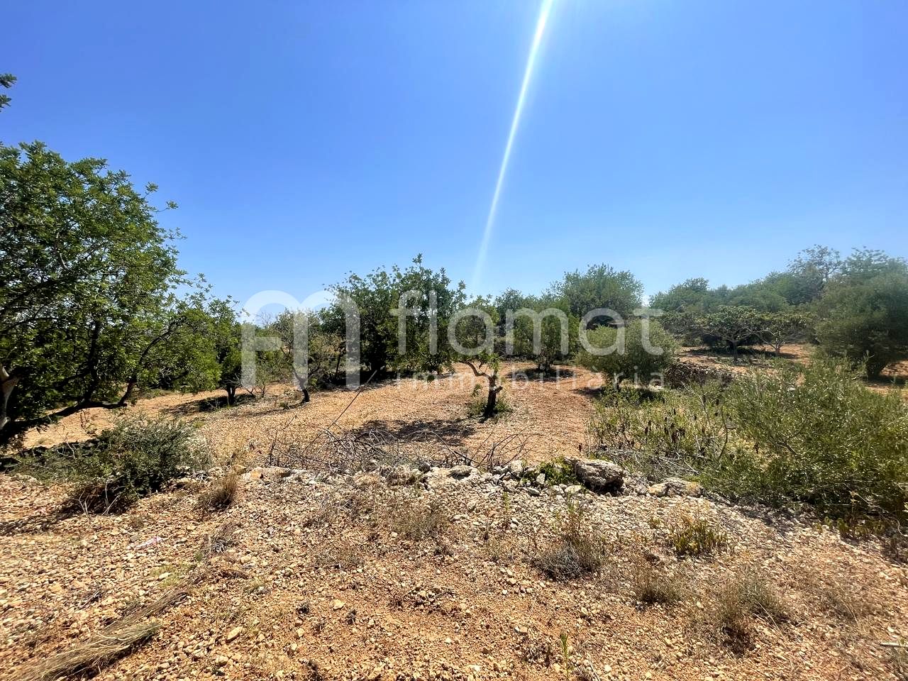 terrenos en la-pobla-de-montornes · t-211-43761 14999€