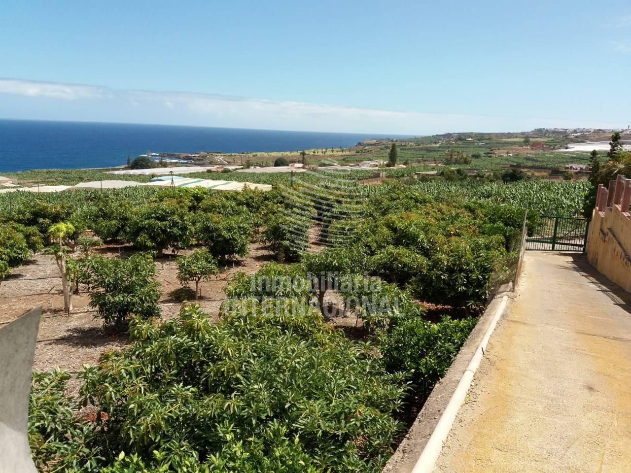 Terreno en Carretera Casablanca, Buenavista del norte, Santa Cruz de Tenerife de 29520 m2