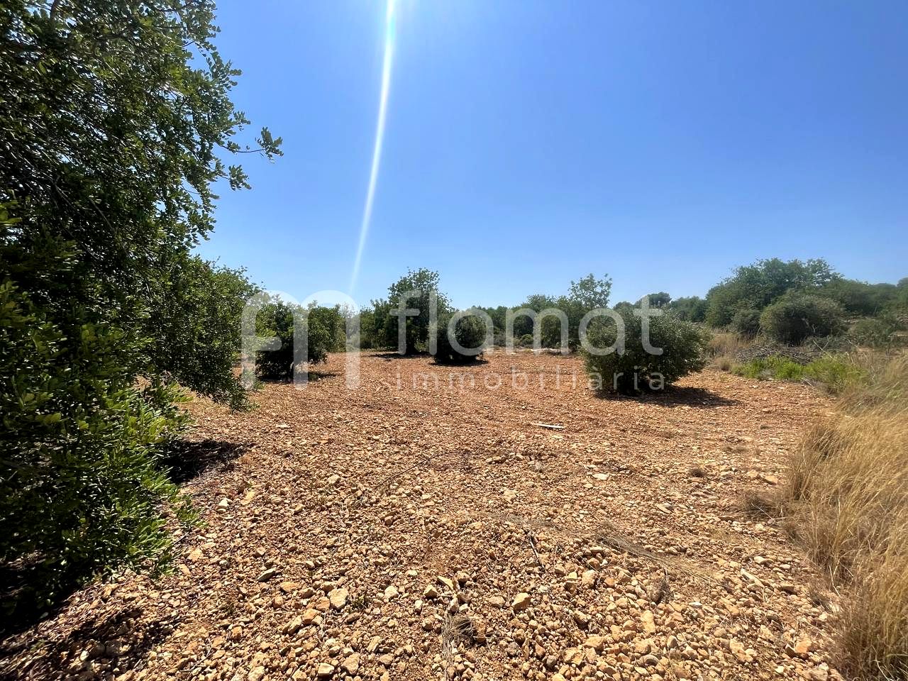 terrenos en la-pobla-de-montornes · t-211-43761 14999€