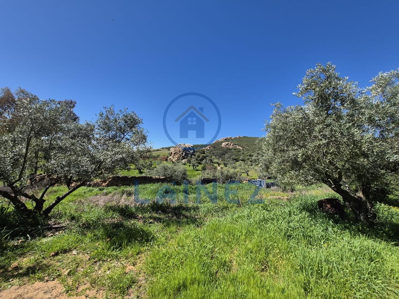 Terreno en Peñarroya-Pueblonuevo, Córdoba de 10000 m2