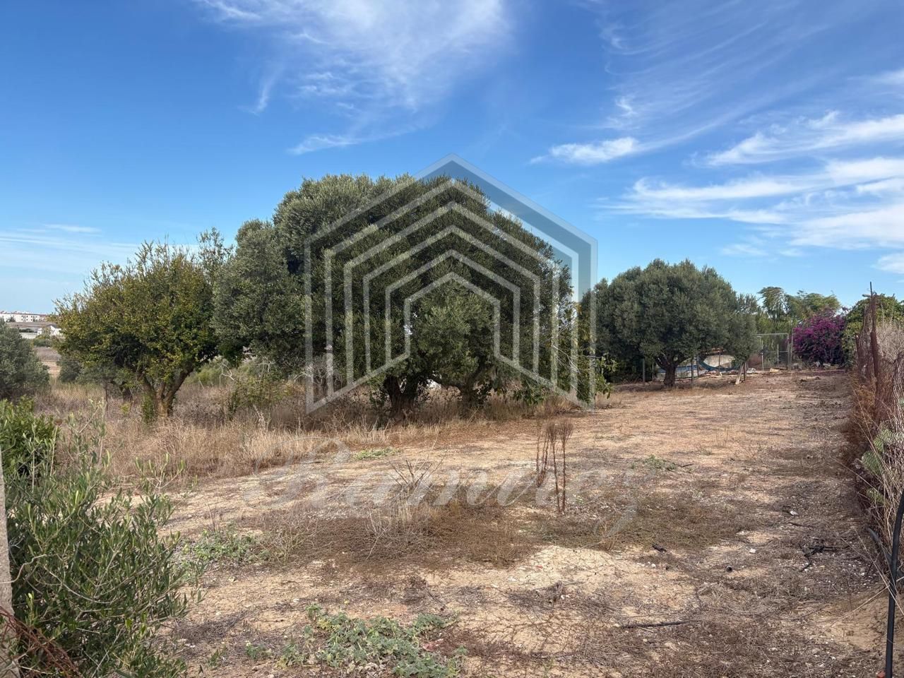 Terreno en CHICLAN DE LA FRONTERA, CADIZ de 867 m2