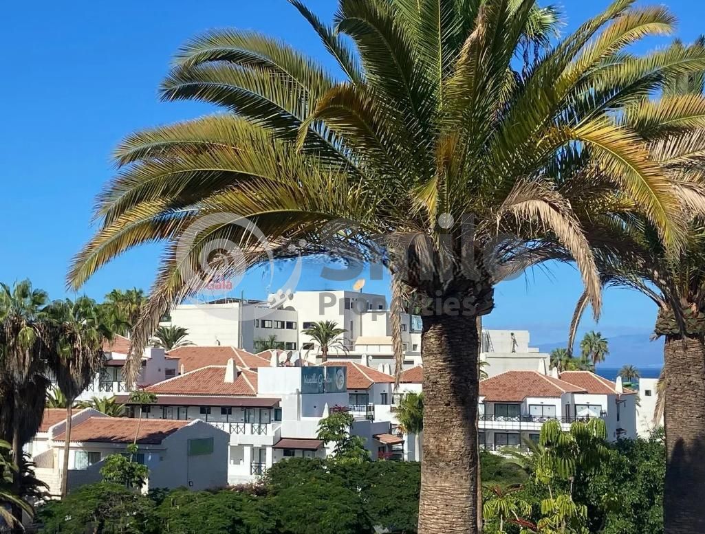 Piso en Calle Bolivia, Adeje, Santa Cruz de Tenerife de 39 m2