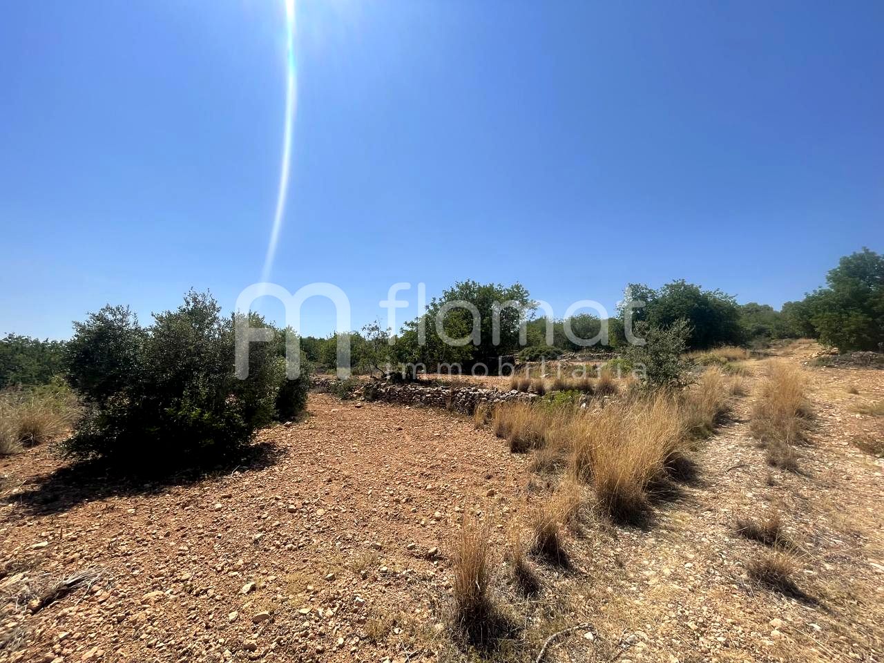 terrenos en la-pobla-de-montornes · t-211-43761 14999€