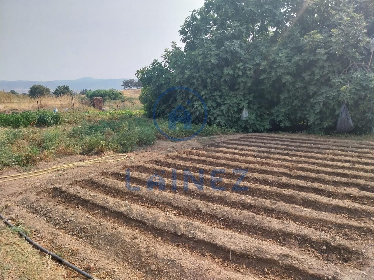 Terreno en Villanueva del Rey, Córdoba de 3600 m2