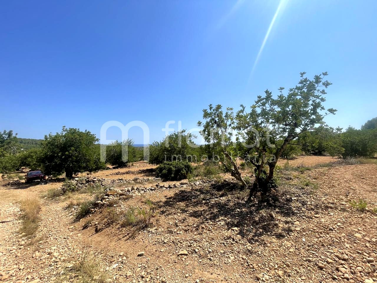 terrenos en la-pobla-de-montornes · t-211-43761 14999€