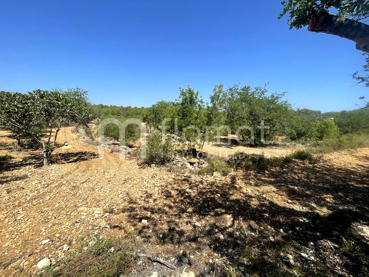 terrenos en la-pobla-de-montornes · t-211-43761 14999€