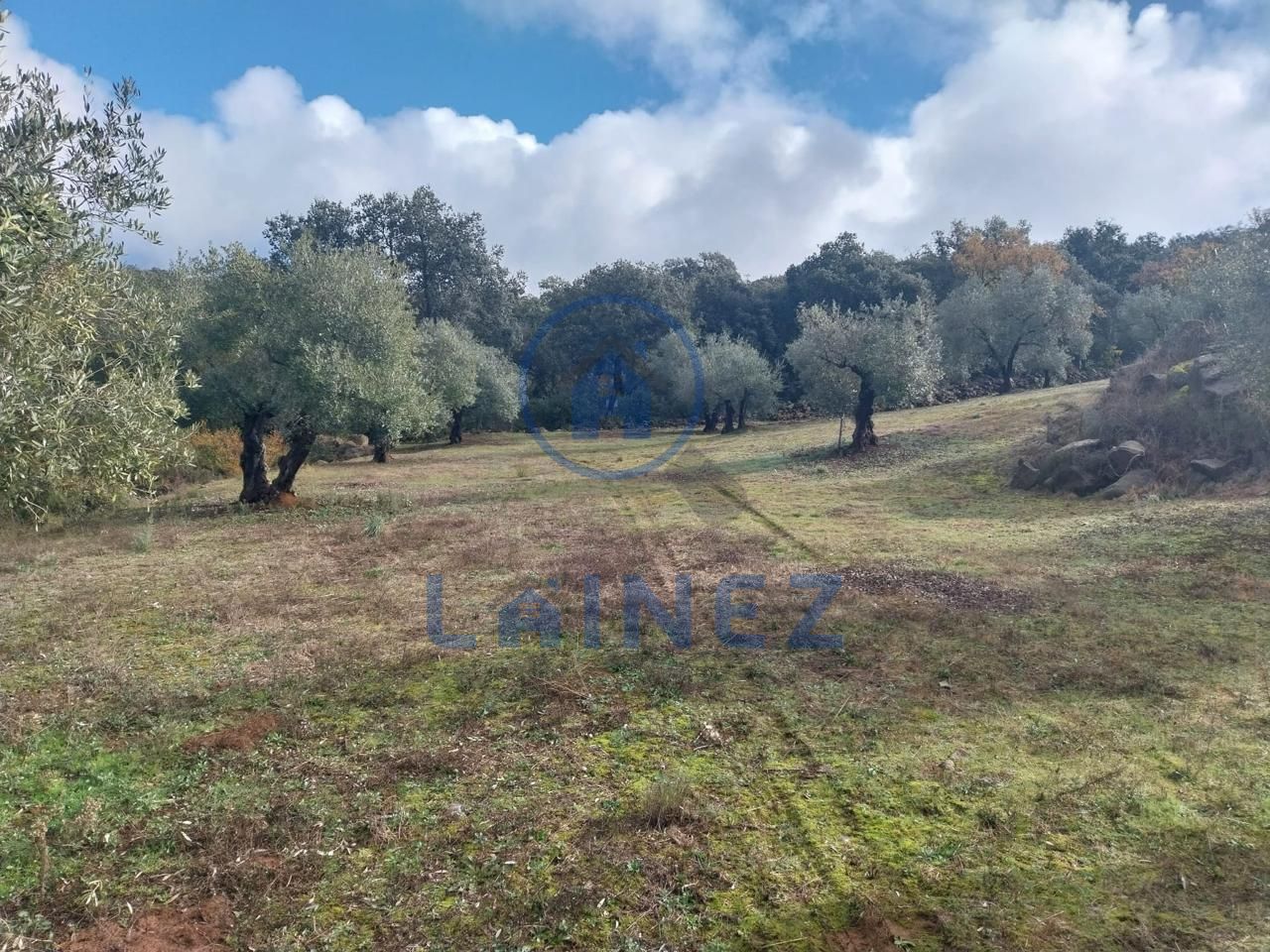 Terreno en El Hoyo, Córdoba de 38153 m2