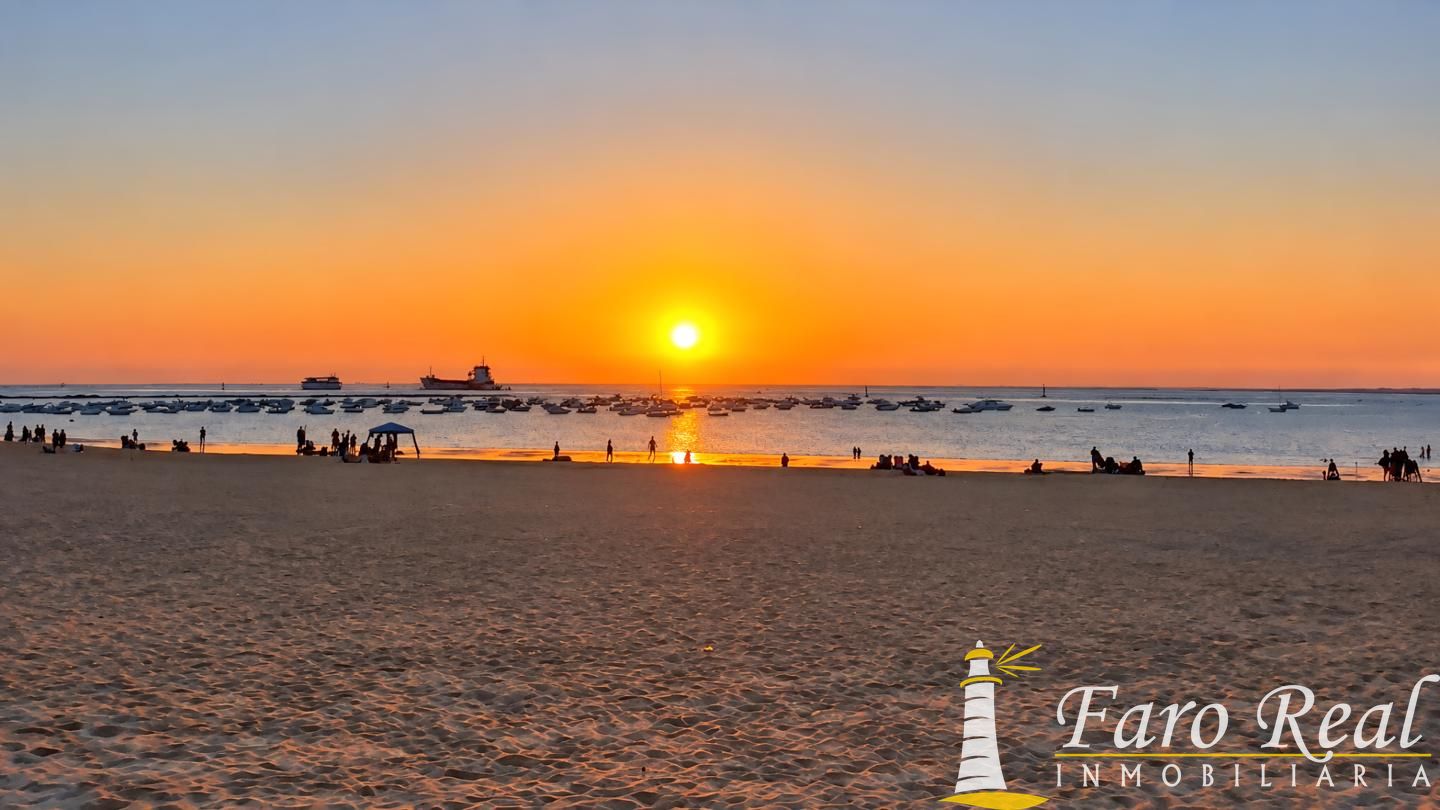 Apartamento en 1º linea de playa con vistas al mar.
