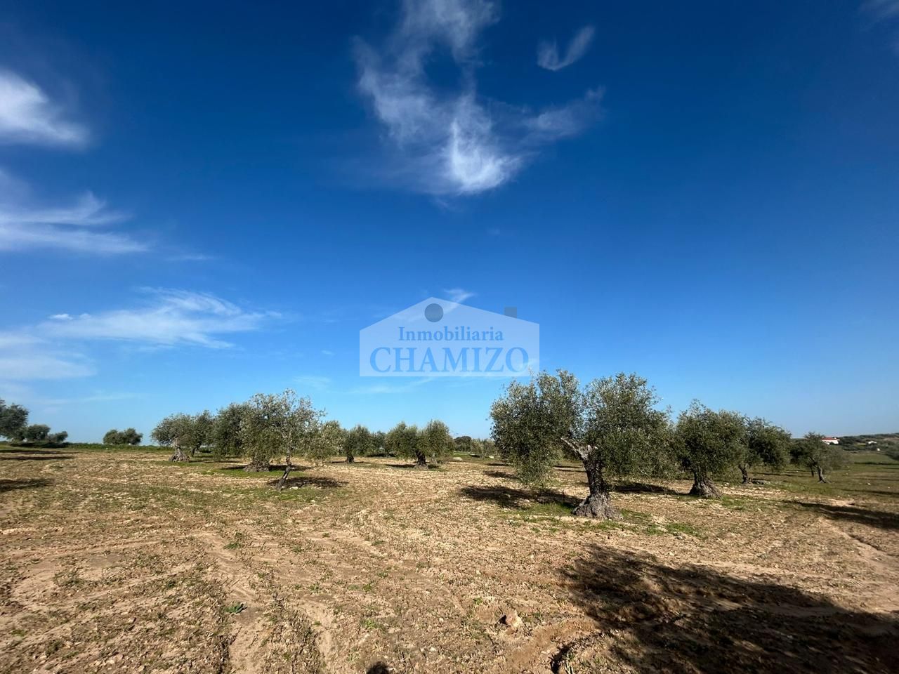 Terreno en EXTRARRADIO, La Haba, Badajoz de 28000 m2