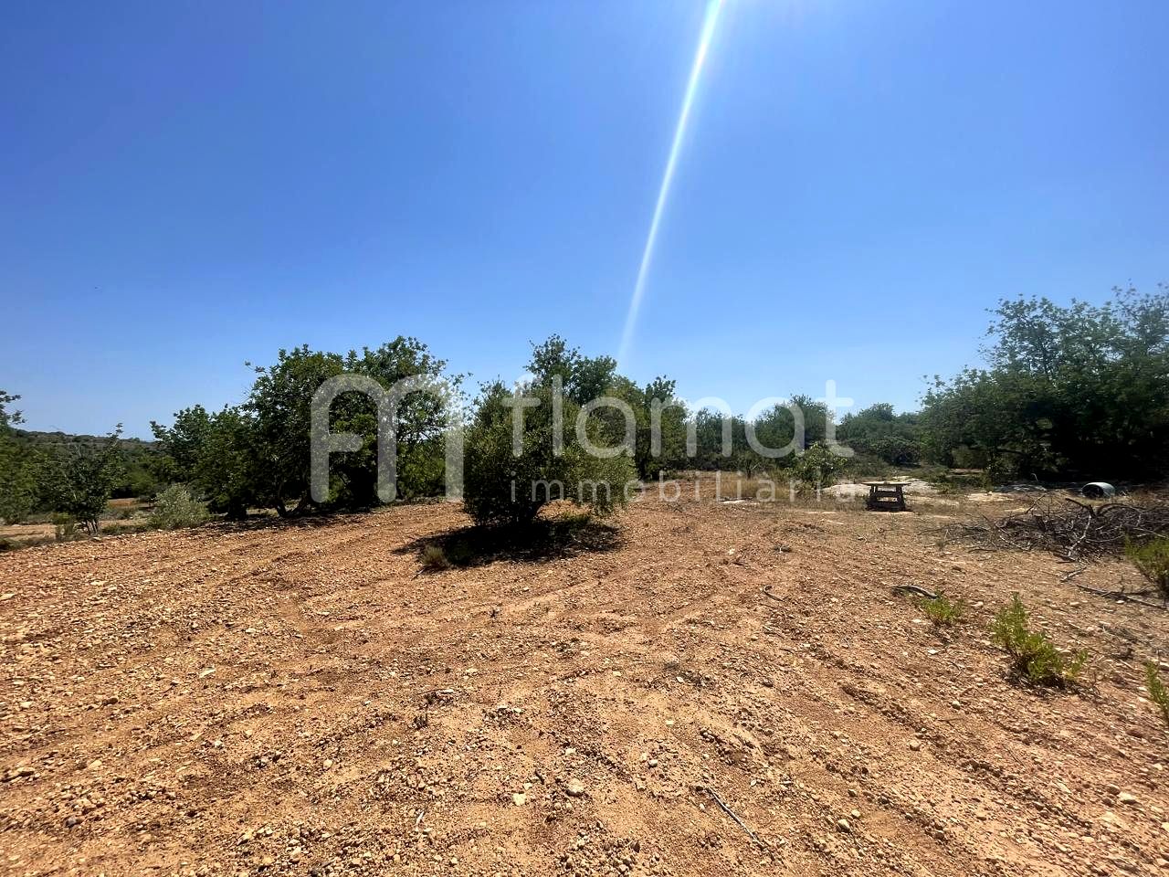 terrenos en la-pobla-de-montornes · t-211-43761 14999€