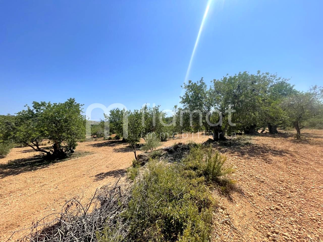 terrenos en la-pobla-de-montornes · t-211-43761 14999€