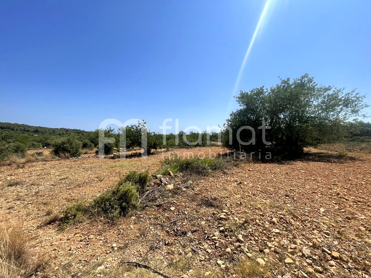 terrenos en la-pobla-de-montornes · t-211-43761 14999€