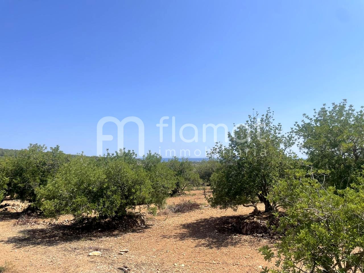 terrenos en la-pobla-de-montornes · t-211-43761 14999€