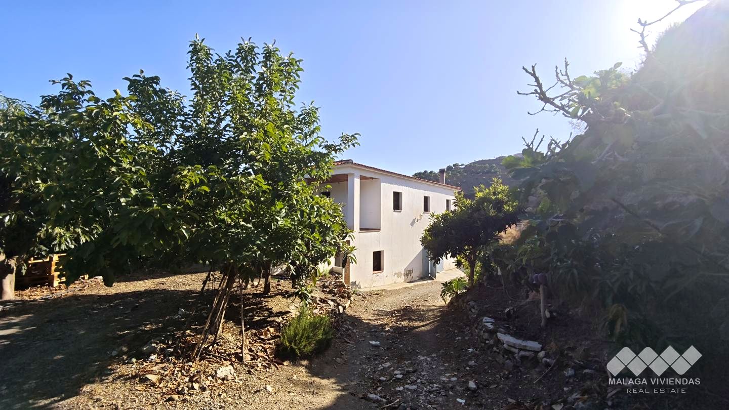 Galería 13