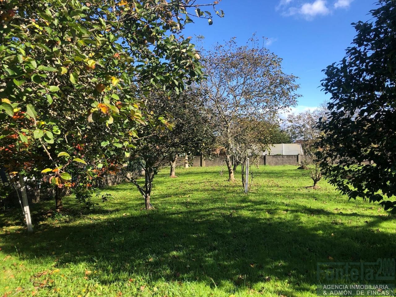 Terreno en Lg. Orto de Arriba, Abegondo, A Coruña de 1629 m2