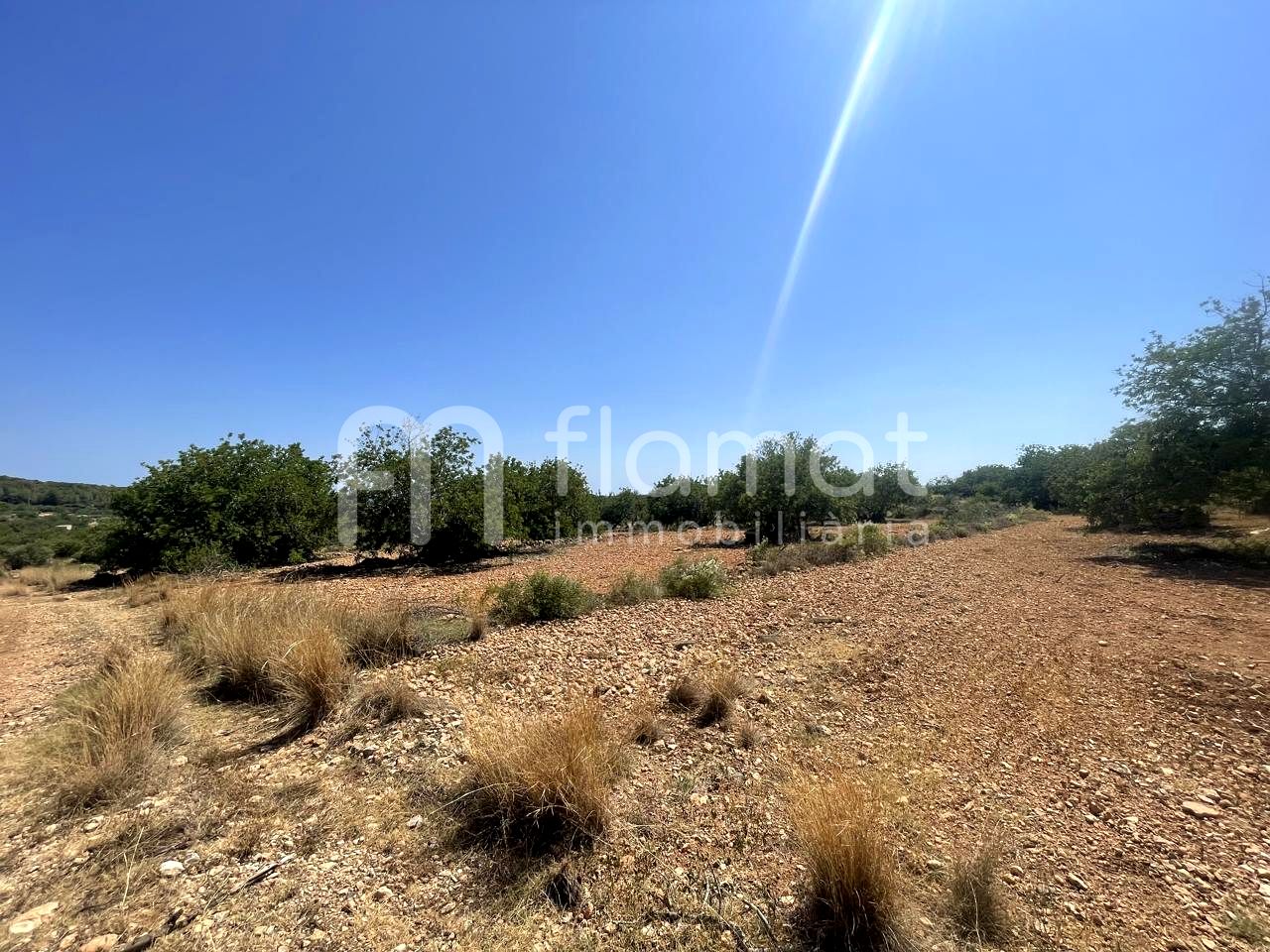 terrenos en la-pobla-de-montornes · t-211-43761 14999€