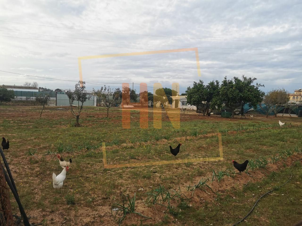 Terreno en Camino de la Jara, Sanlúcar de Barrameda, Cádiz de 2500 m2