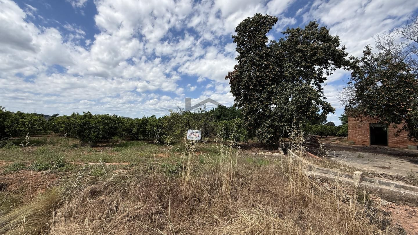 Terreno en La Pobla Llarga, Valencia de 9666 m2
