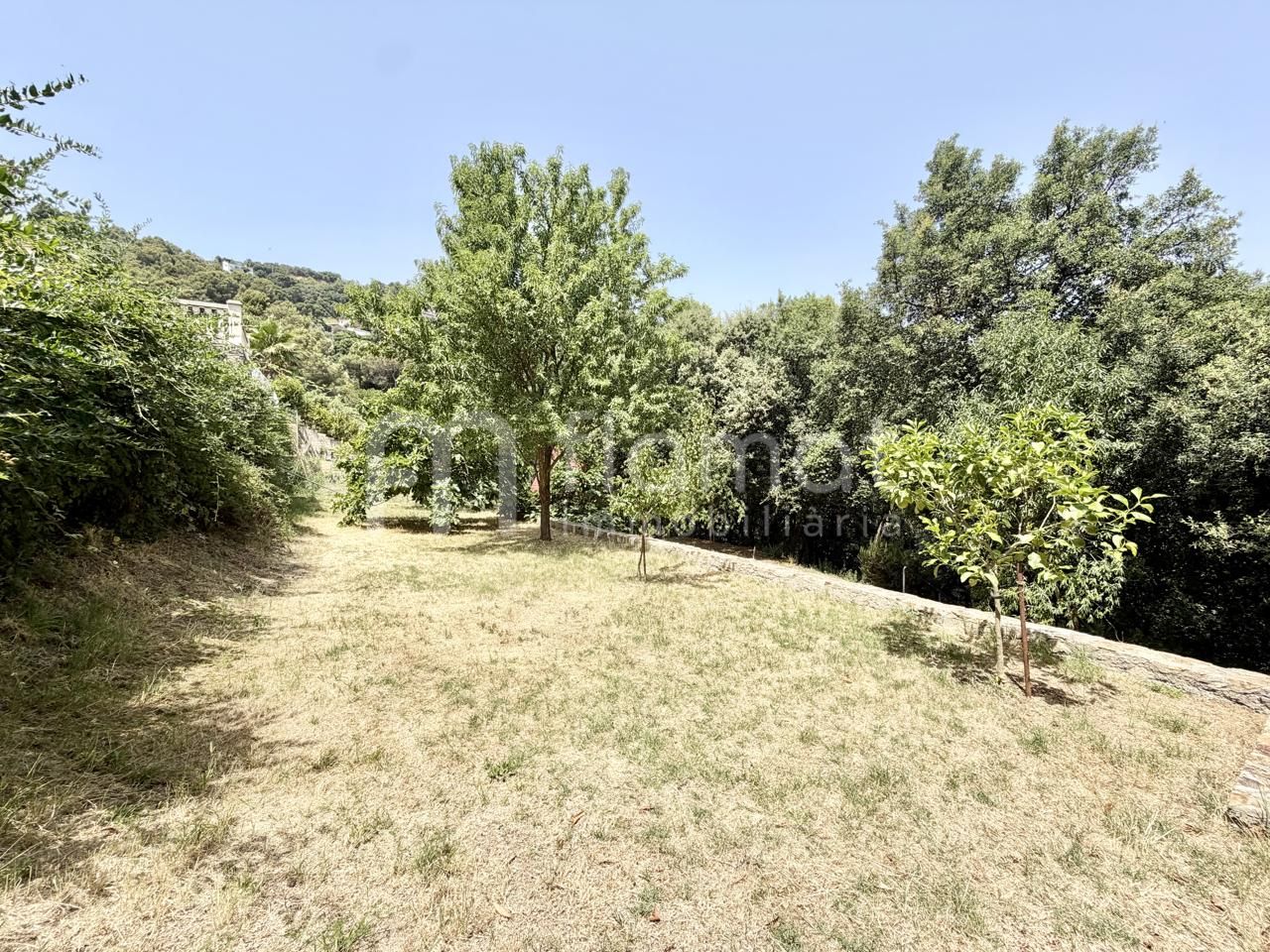 villas en palafolls · avinguda-dels-arbres-08389 449000€