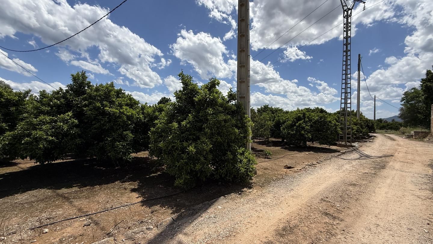 Terreno en Arenal, La Pobla Llarga, Valencia de 6997 m2