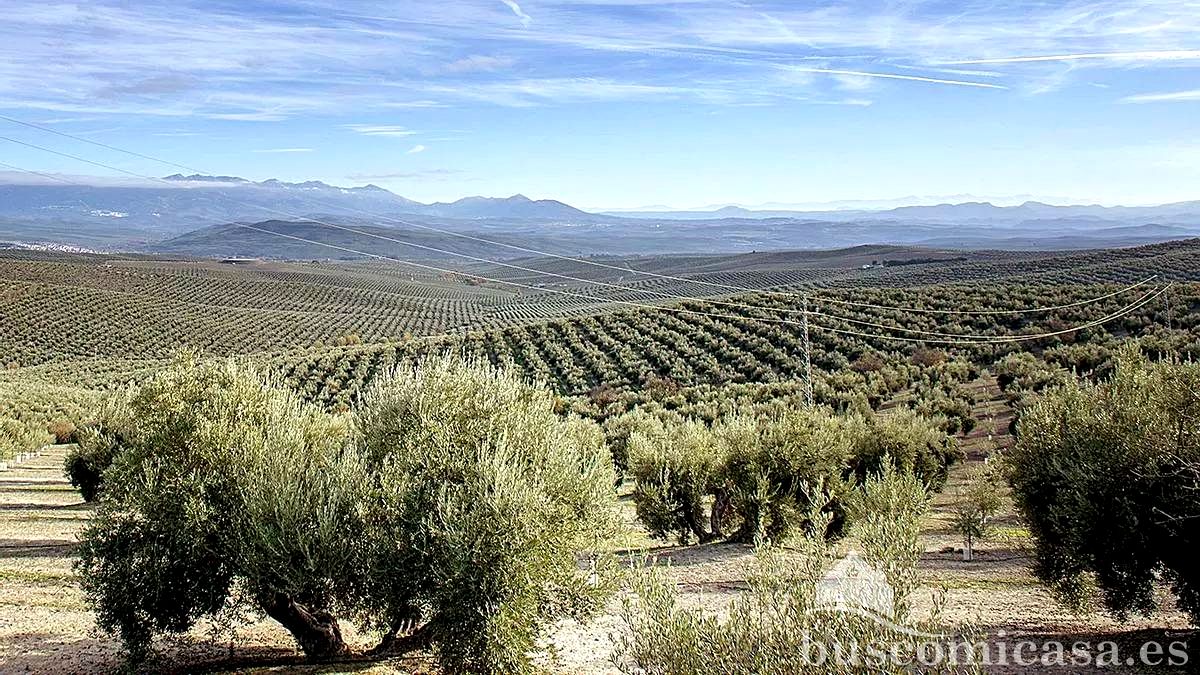 Terreno en principal, Begíjar, Jaén de 32300 m2
