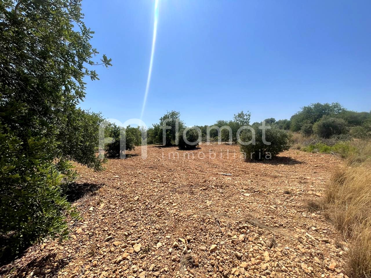 terrenos en la-pobla-de-montornes · t-211-43761 14999€