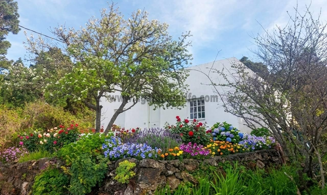 Villa in La Montaneta - view 1