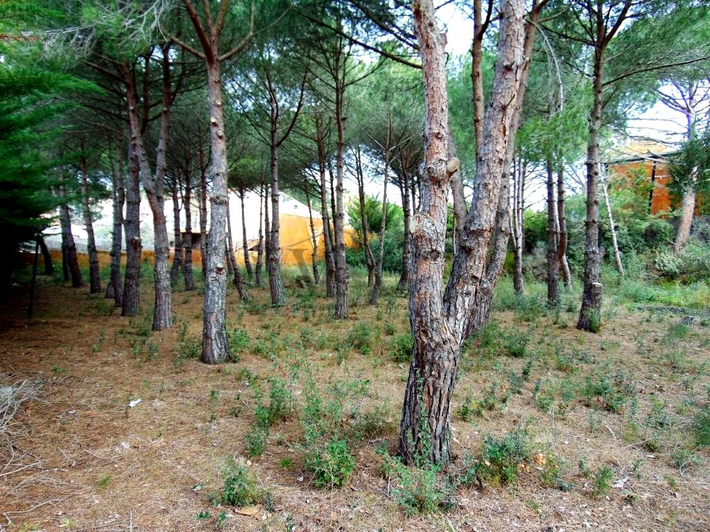 Terreno en Sant Antoni de Calonge, Girona de 2626 m2
