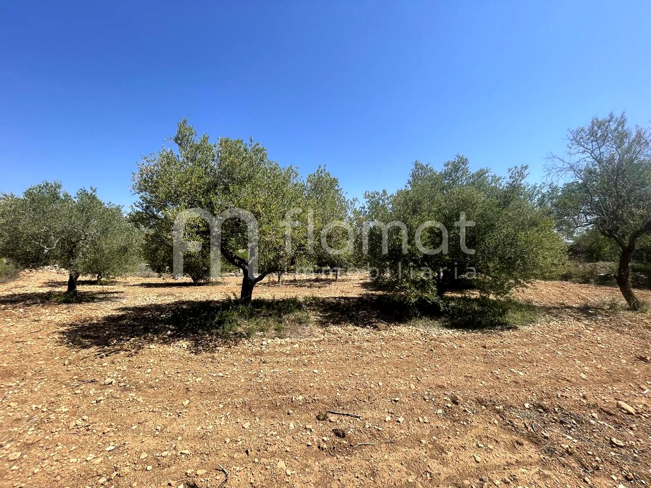 terrenos en la-pobla-de-montornes · t-211-43761 14999€