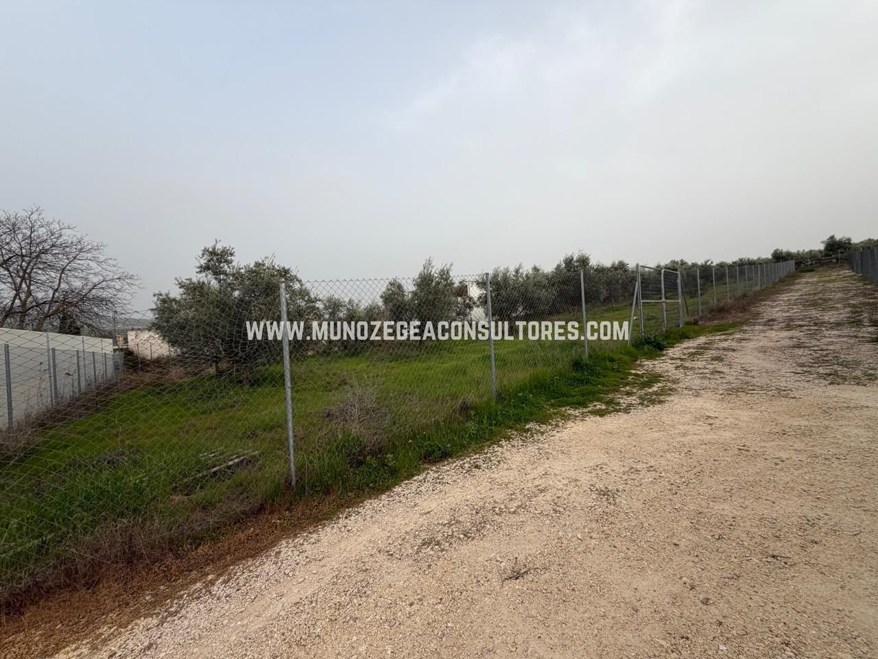 Land in Calle Cristo Marroquí, Lucena, Córdoba of 1400 m2