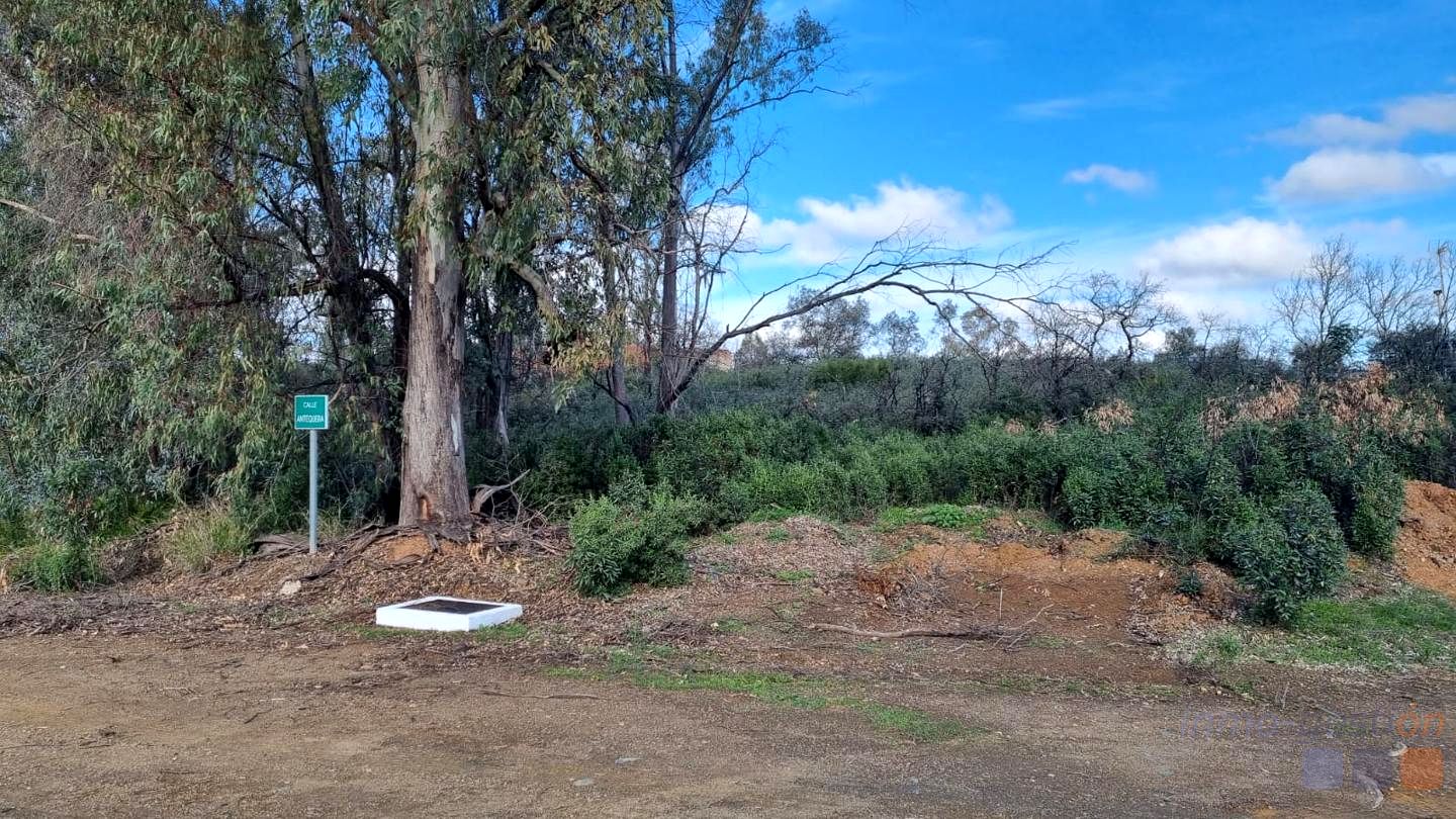 Terreno en Avenida de los Lagos, Guillena, Sevilla de 4000 m2