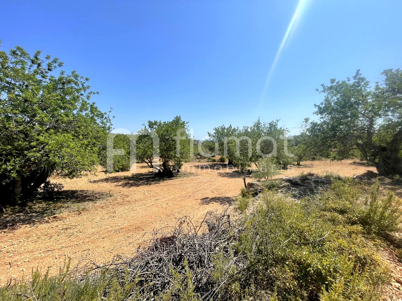terrenos en la-pobla-de-montornes · t-211-43761 14999€