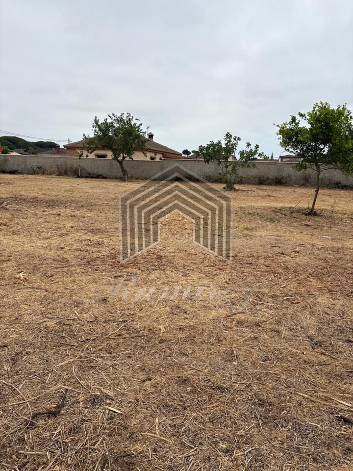 House picture