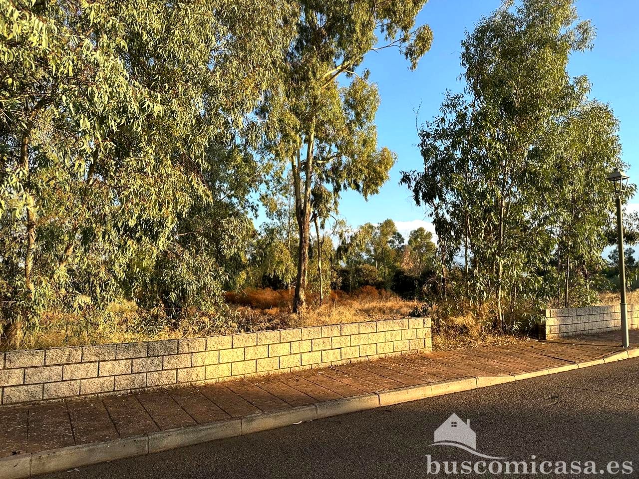 Terreno en Calle Radio Faro, Linares, Jaén de 1220 m2