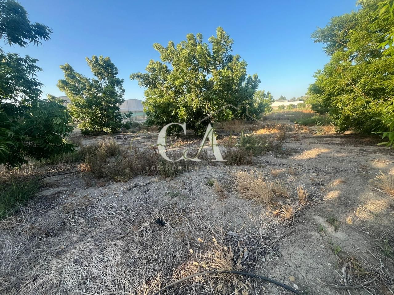 Terreno en Baldomero Jimenez, Puente Genil, disponible de 4900 m2