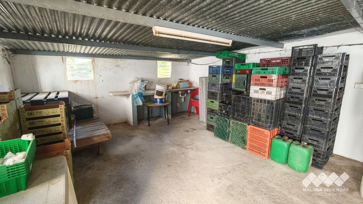 Galería 24