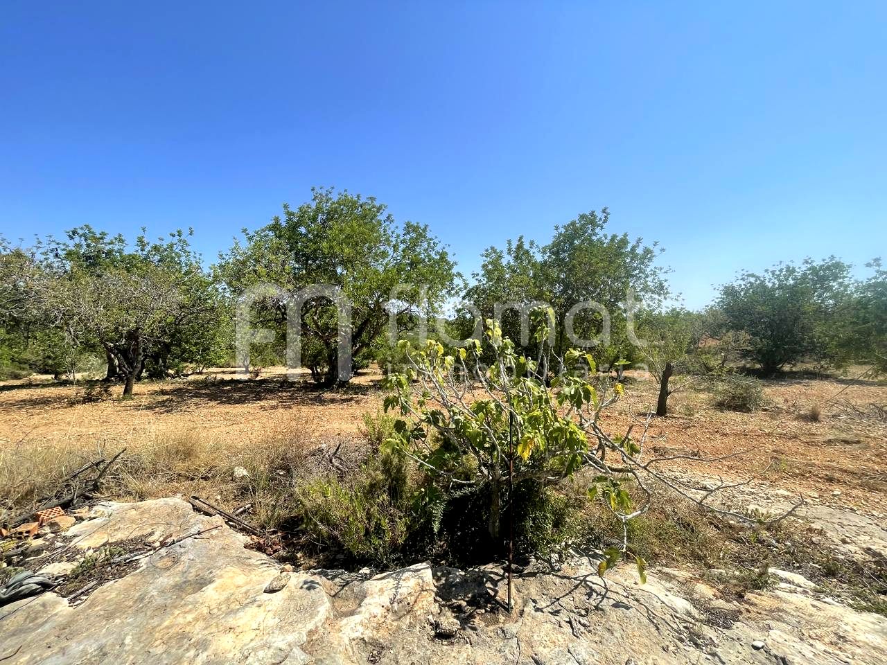 terrenos en la-pobla-de-montornes · t-211-43761 14999€