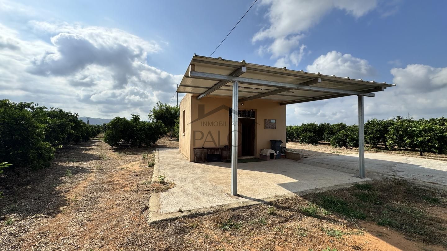 Terreno en El Barranquet, Carcaixent, Valencia de 14356 m2