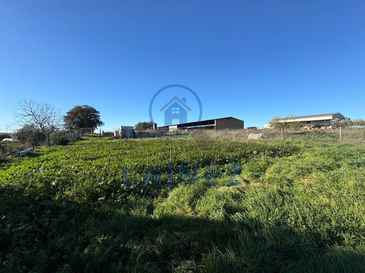 Land in La Granjuela, Córdoba of 11714 m2