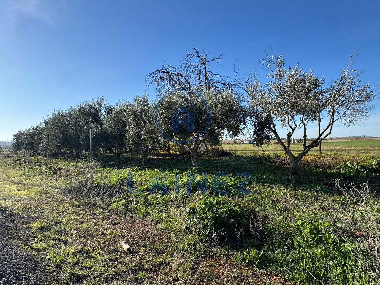 Terreno en La Granjuela, Córdoba de 1400 m2