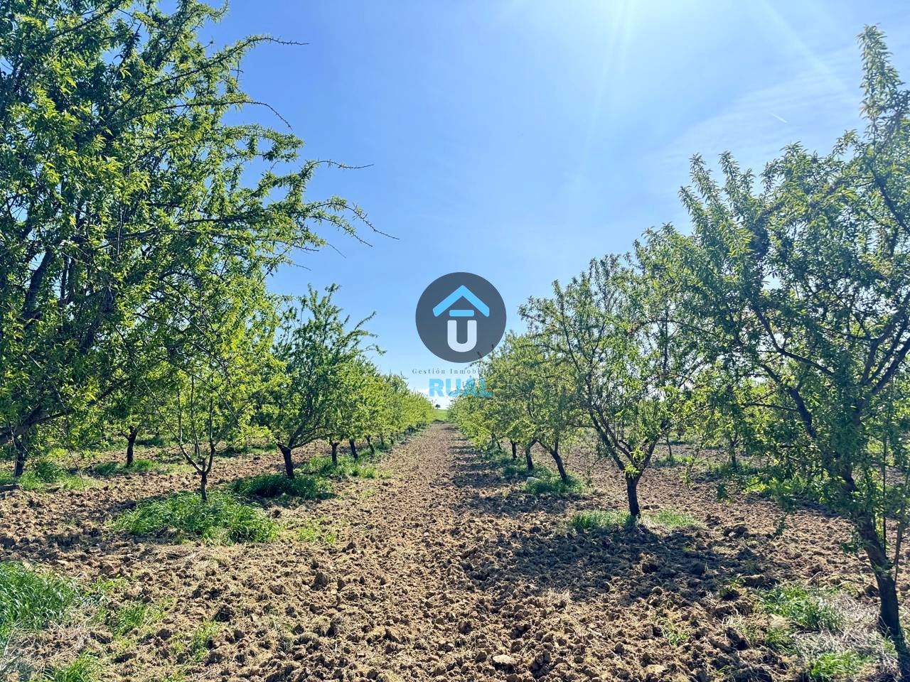 Terreno en Herreruela de Oropesa, Toledo de 107299 m2