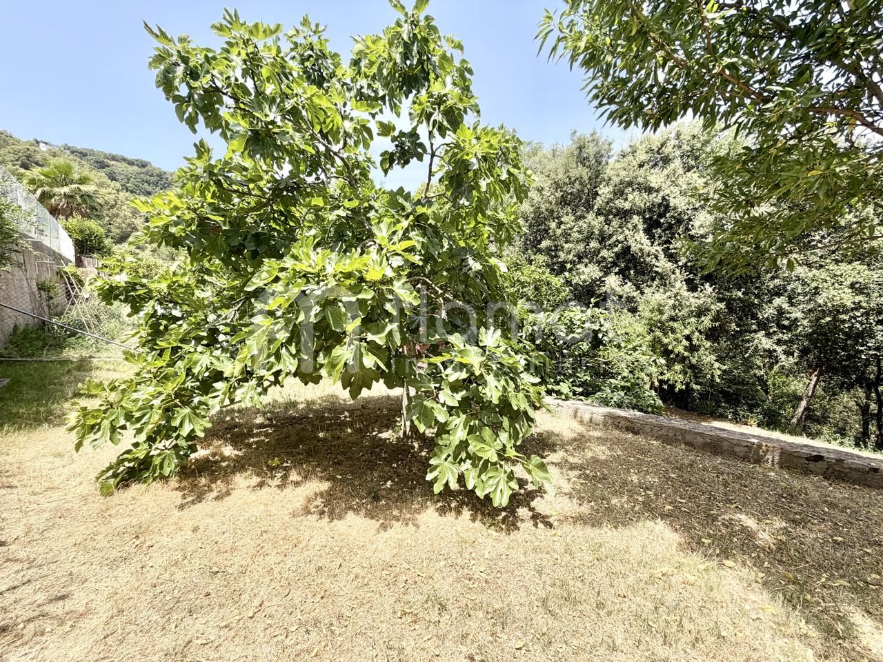 villas en palafolls · avinguda-dels-arbres-08389 449000€