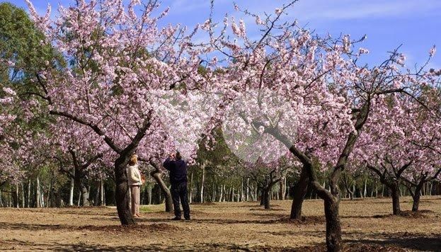 Piso en Venta en Suanzes, Ciudad Lineal, Madrid