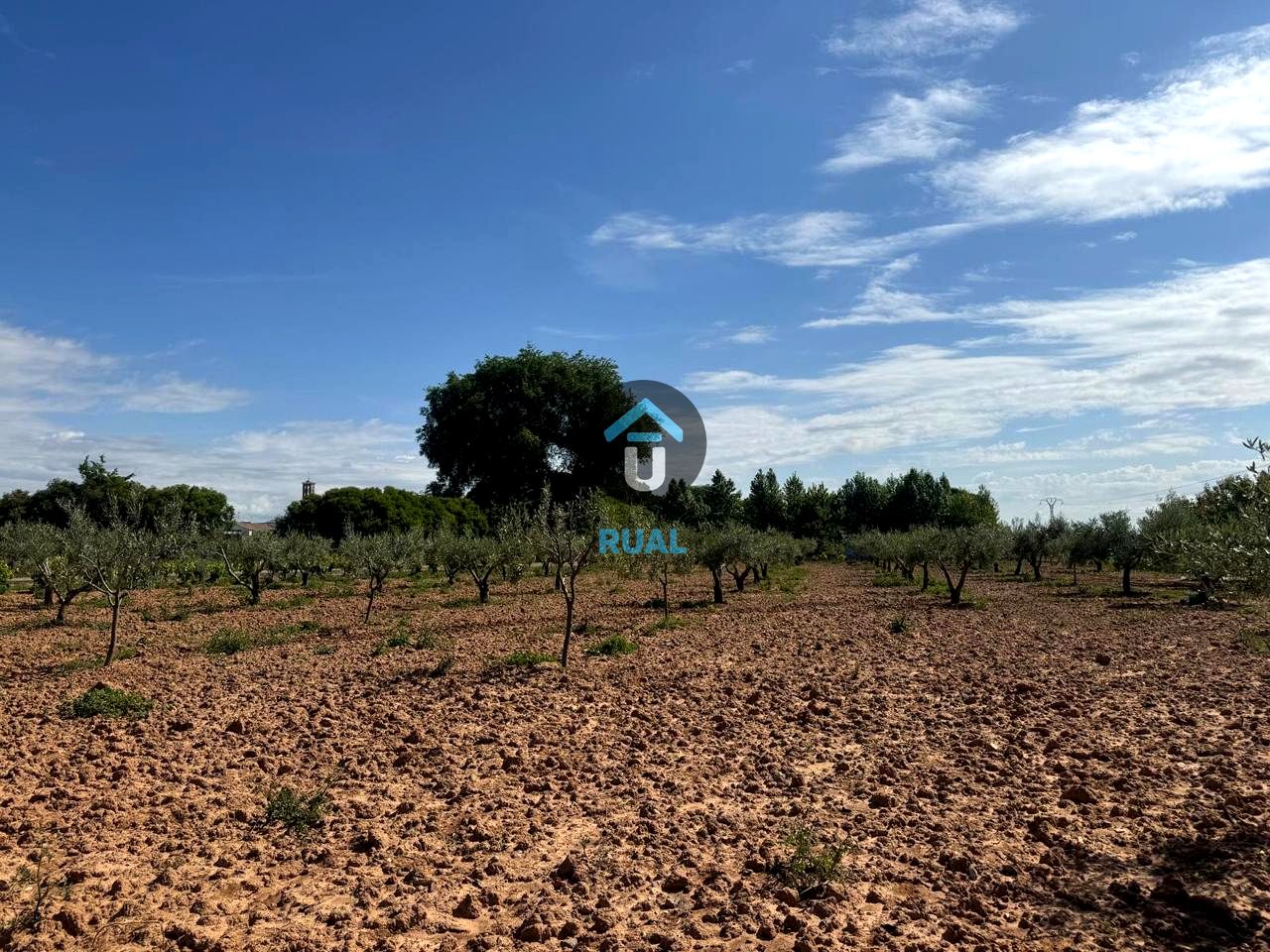 Land in POLIGONO 13, Alberche del Caudillo, Toledo of 6530 m2