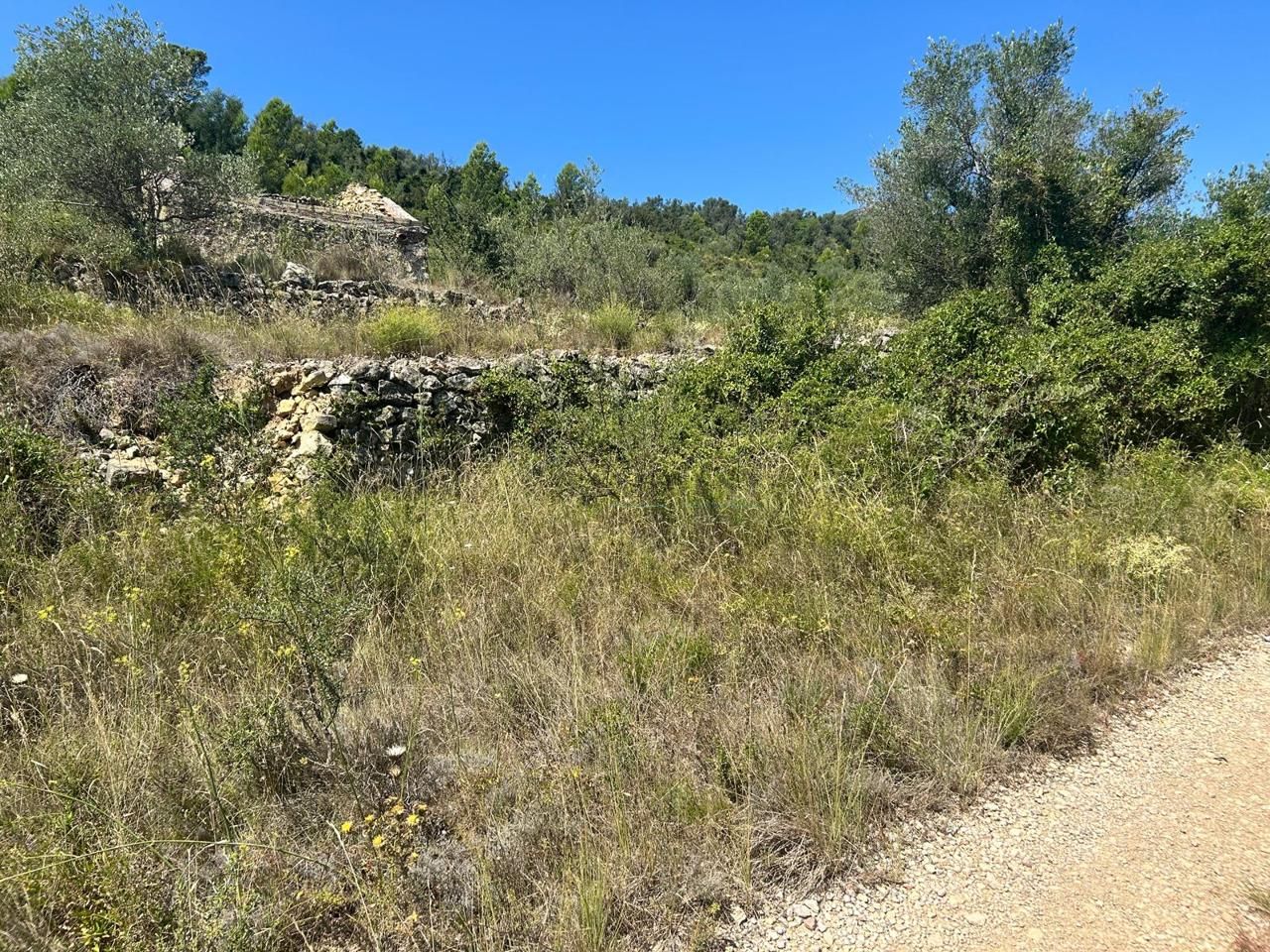 Terreno en Polígono 6 Parcela 126, MAS DE BARBERANS, TARRAGONA de 40954 m2